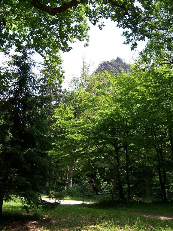 Ferienwohnung Im Stieg 4 Кведлинбург Екстериор снимка